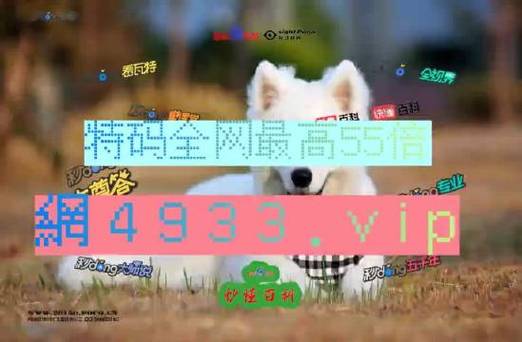 澳门6合开彩开奖结果2024年,真实经典策略设计_VR型43.237