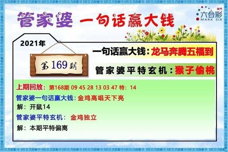 2024新澳门资料大全正版资料免费,真实经典策略设计_VR型43.237