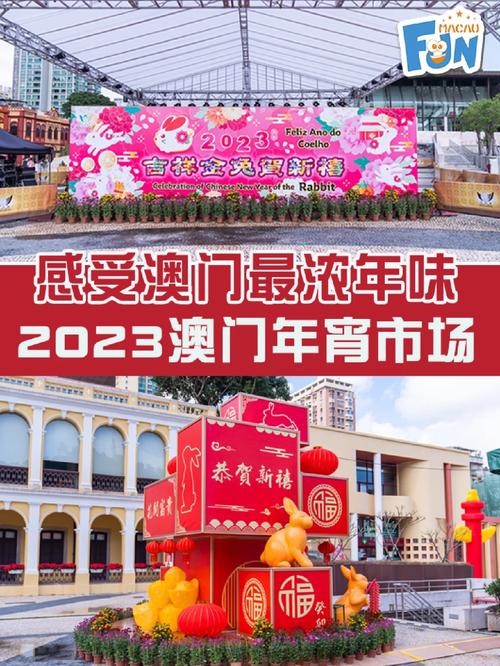 澳门资料大全正版资料2023年免费111期,设计策略快速解答_整版DKJ656.74