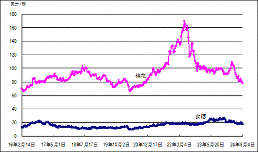 2024年国内外体育赛事一览表,设计策略快速解答_整版DKJ656.74