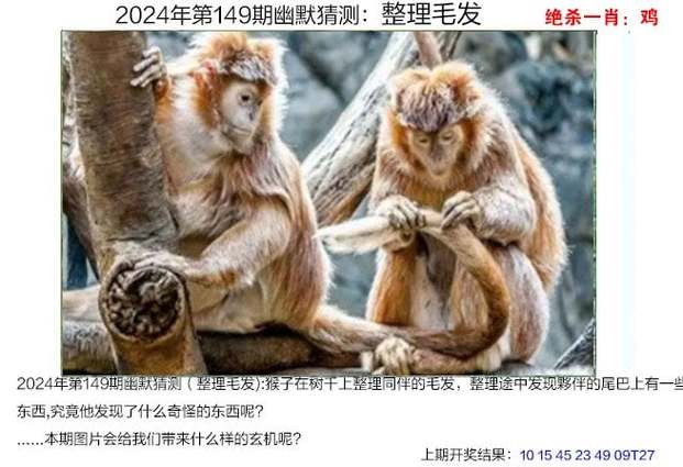 新澳门2024精准资料全年免费,设计策略快速解答_整版DKJ656.74