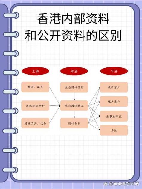 香港最准内部免费资料,设计策略快速解答_整版DKJ656.74