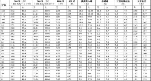 初中体育考试分数表,真实经典策略设计_VR型43.237