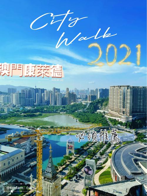 2021年的澳门免费资料,设计策略快速解答_整版DKJ656.74