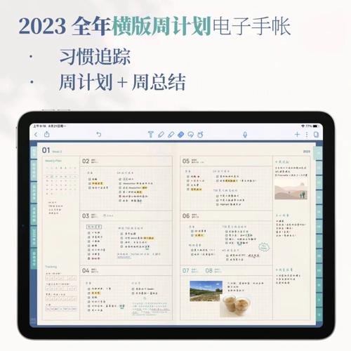 2023正版澳门全年免费资料,绝对策略计划研究_社交版40.12.0