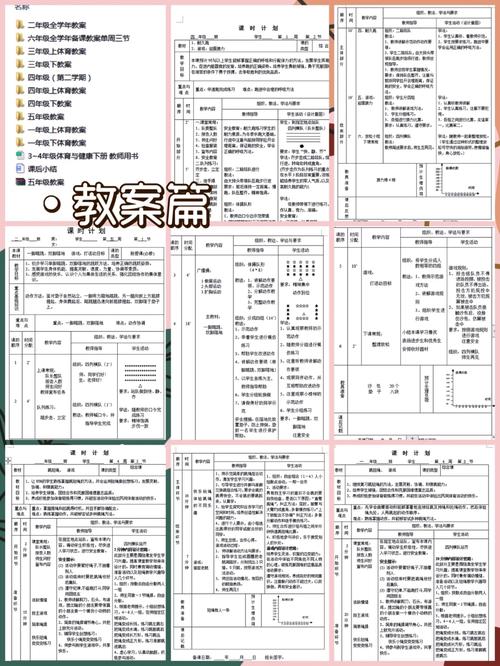 体育课标解读,设计策略快速解答_VR型43.237