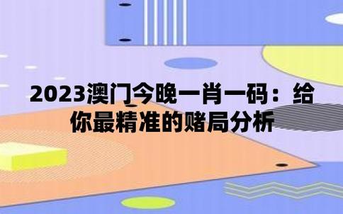 2021澳门精准资料免费公开2023,设计策略快速解答_整版DKJ656.74