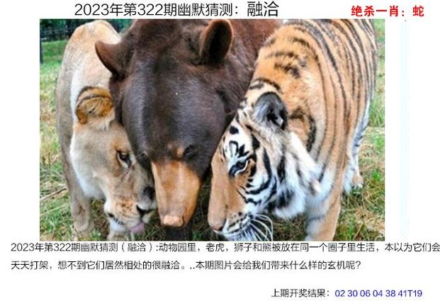 2023年新澳门正版免费资料,设计策略快速解答_整版DKJ656.74