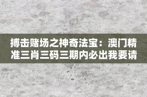 澳门精准一码资料公开搜索,设计策略快速解答_整版DKJ656.74