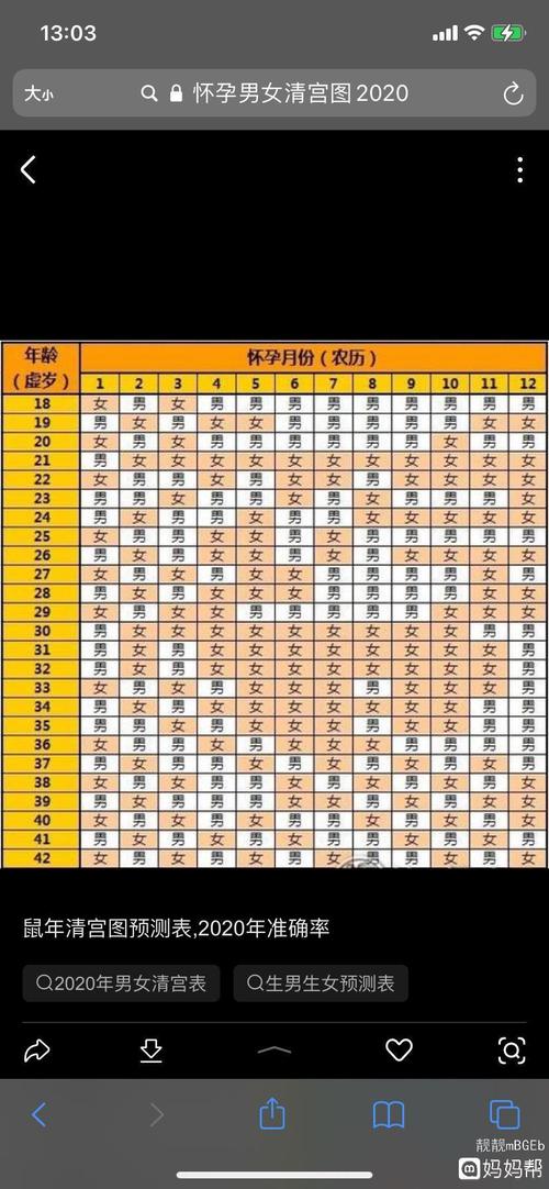 最新版2024十二生肖表,绝对策略计划研究_社交版40.12.0