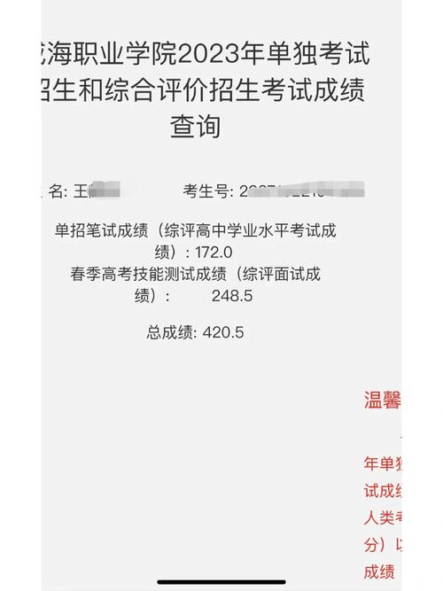 体育单招是怎么录取的,设计策略快速解答_整版DKJ656.74