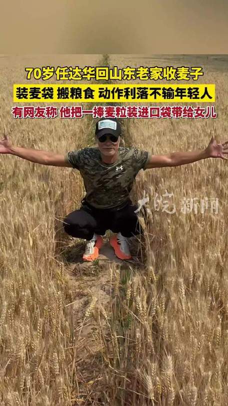 香港今晚开奖结果开奖记录和任达华回山东收麦子与任达华回山东收麦子是哪一集