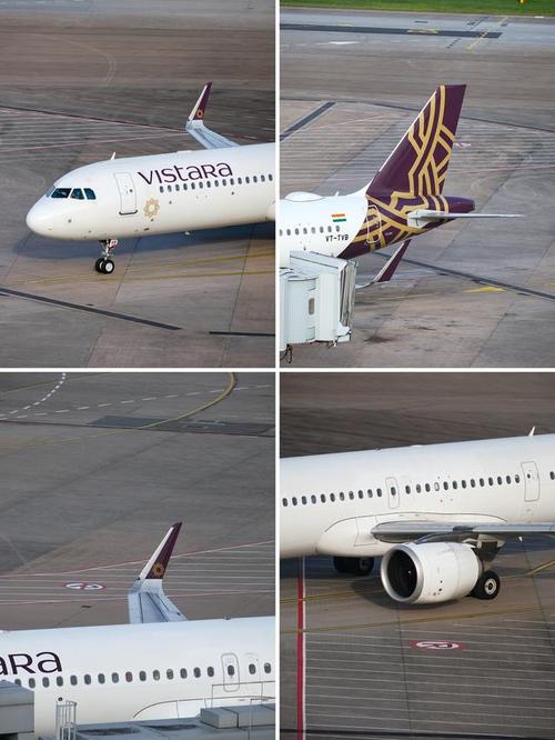 澳门开奖结果+开奖记录表生肖和印度航空坠机声明与印度航空坠机声明书
